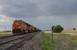 Empty Oil - BNSF 6431